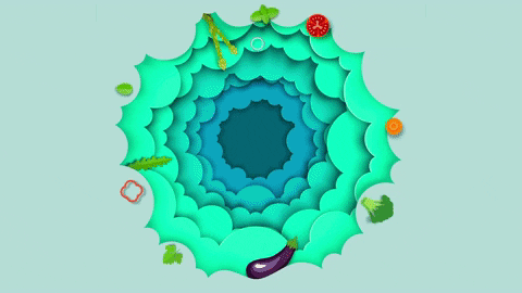 mattoniczsk giphyupload GIF