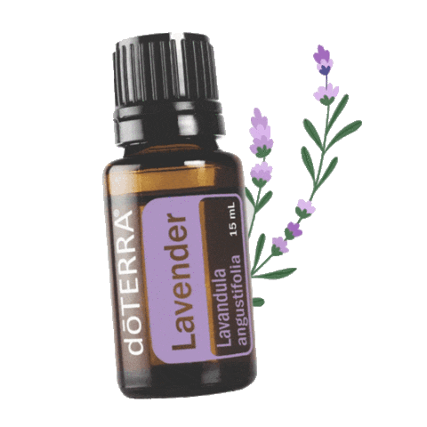 Connection Becoming Sticker by doTERRA Essential Oils
