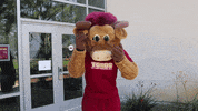 csudhteddytoro excited yay joy happiness GIF
