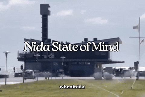 Lithuania GIF by wheninida®