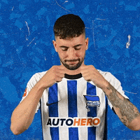 Sport Bundesliga GIF by Hertha BSC