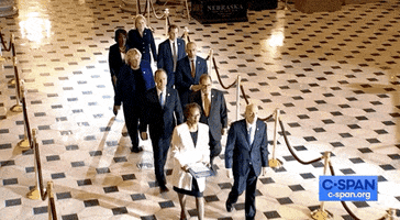 news congress deliver sending articles of impeachment GIF