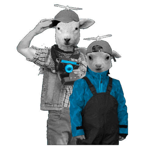 Friends Sheep Sticker by EdinburghFringeFestival