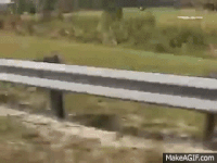 i dont give a fuck GIF