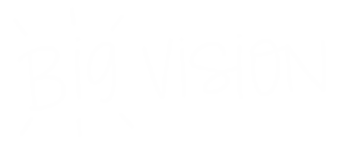 Big Vision Sticker