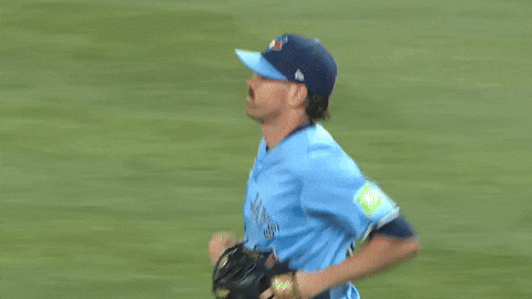 Blue Jays Baseball GIF by Toronto Blue Jays