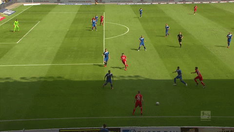 1 fc cologne football GIF by 1. FC Köln