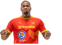 lesvikingsdecaen handball proligue caenhandball lesvikingsdecaen Sticker