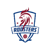 Roosters Yfa Sticker by Youth Floorball Academy