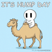 Wednesday Morning GIF