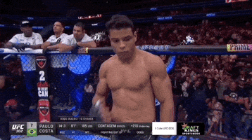 Mixed Martial Arts Sport GIF by UFC