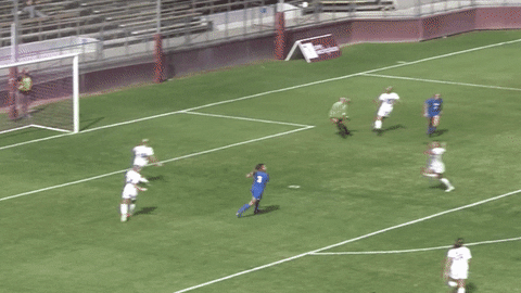 Santa Clara University Go Broncos GIF by Santa Clara Broncos