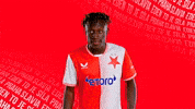 Football Heart GIF by SK Slavia Praha
