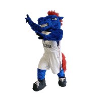 fduwhatsnew knightro fdu fairleigh dickinson university fairleigh dickinson Sticker