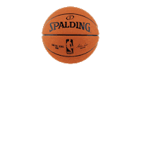 Spalding_Brasil basketball spalding spaldingbrasil spalding brasil Sticker