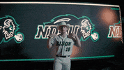 Ndsu Baseball GIF by NDSU Athletics