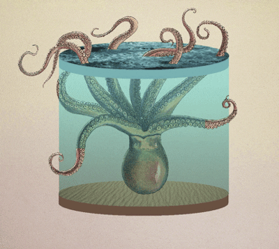 art octopus GIF by Nate Makuch