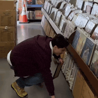 Timothee Chalamet GIF by Respective