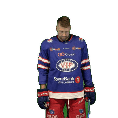 6 Sticker by VIF Hockey