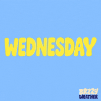 Sunny Day App GIF by Brzzy