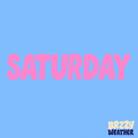 Saturday Morning Snl GIF by Brzzy