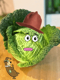 Yogi Bear Cabbage GIF