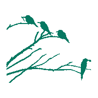 Bird Vogel Sticker by The_Taxifurmist