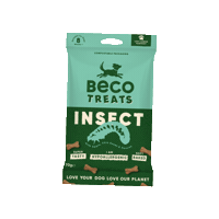 Dog Insect Sticker by Beco