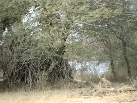 Awkward Education GIF by DIIMSA Stock