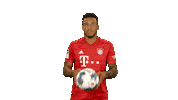 Playing Fc Bayern Sticker by Bundesliga