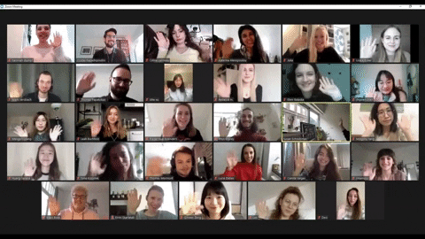 lisaklcker giphygifmaker zoom GIF