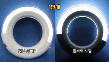 kpoopshiz giphyupload GIF