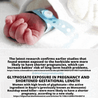 Non Gmo Food GIF by detoxheavymetalssafely