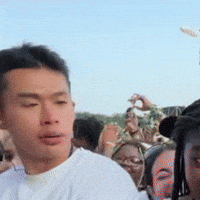 Lollapalooza GIF by Respective