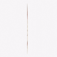 Photographer Lollapalooza GIF by Respective