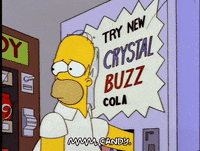 homer simpson episode 6 GIF