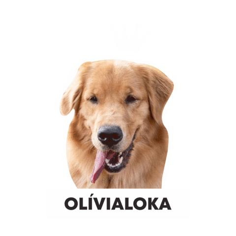 Csclkcrew Sticker by Cuscoloko