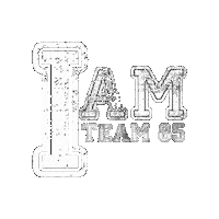 Weareteam85 Sticker by Myteam85
