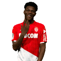 Ligue 1 Football Sticker by AS Monaco