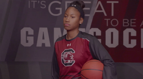 South Carolina What GIF by gamecocksonline