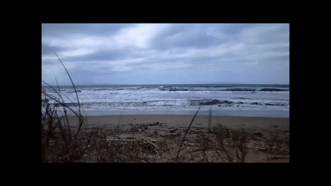 Simongip giphygifmaker GIF