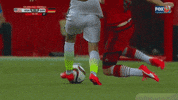 germany football GIF
