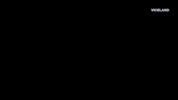 viceland GIF by Kentucky Ayahuasca