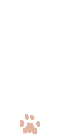 Puppy 강아지 Sticker by glowoasis