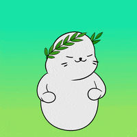 4870 GIF by Sappy Seals Community