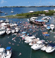 Party Summer GIF by Belligerent Bermuda