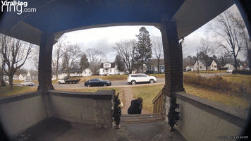 Woman Falls on Slippery Front Steps