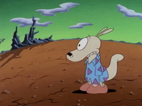 rockos modern life nicksplat GIF
