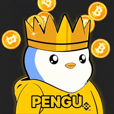 Bitcoin King GIF by Binance.US