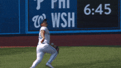 Blue Jays Baseball GIF by Toronto Blue Jays